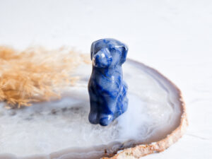 Blauwe aventurijn hond