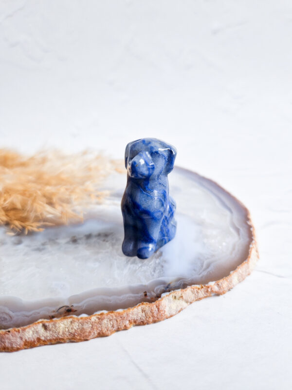 Blauwe aventurijn hond