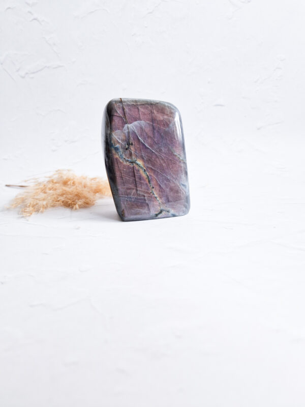 Labradoriet sculptuur met roze flash