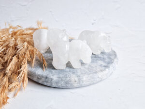 bergkristal beer / ijsbeer