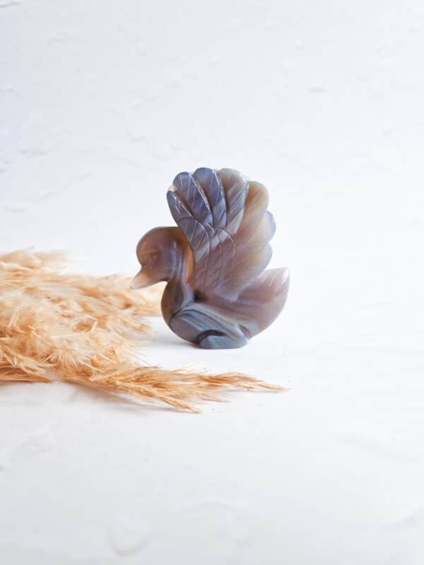 agaat zwaan met druzy
