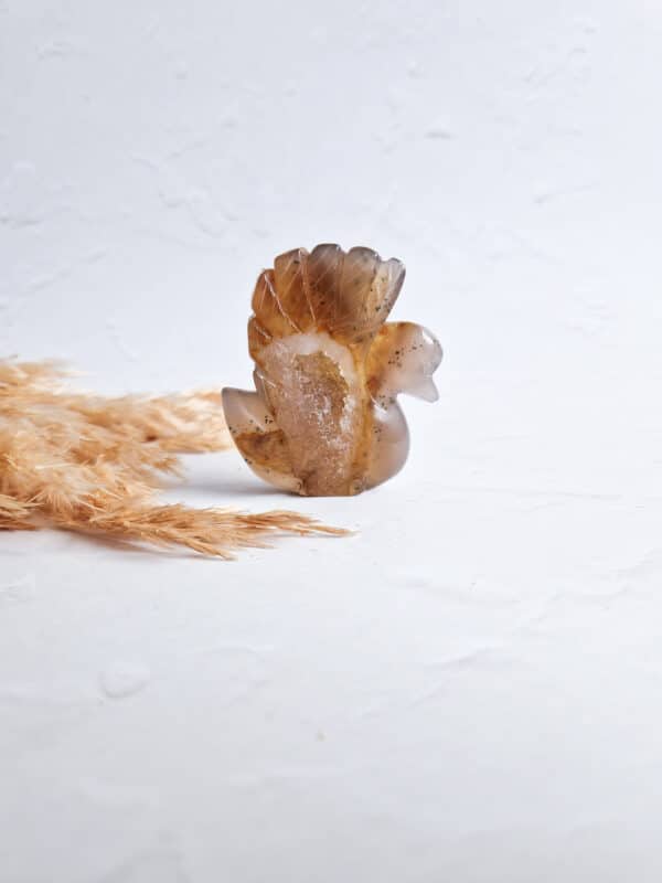 agaat zwaan met druzy