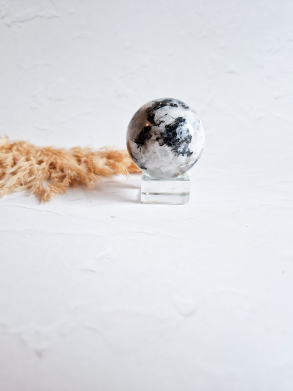 Bolhouder glas (S) - Afbeelding 2