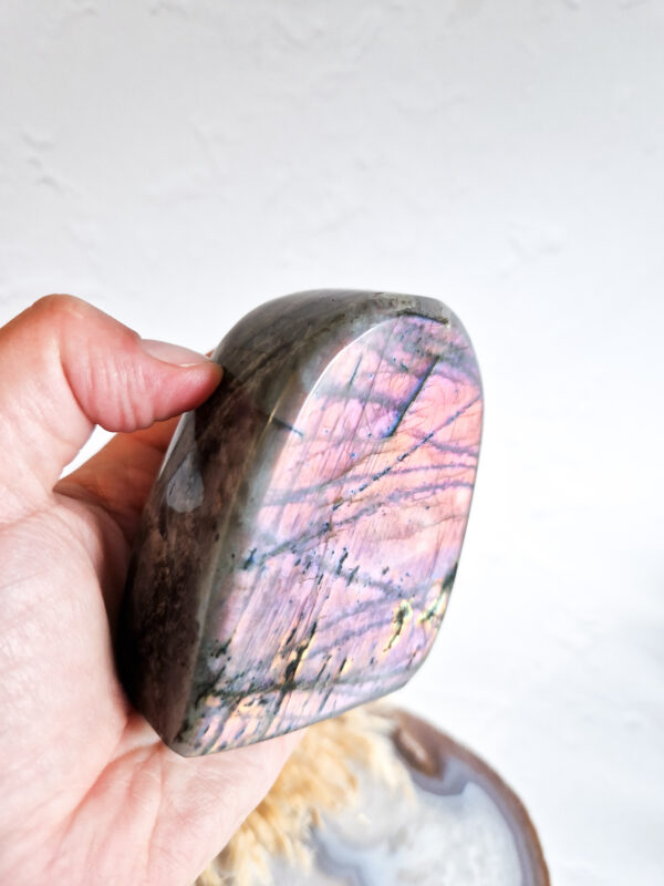 labradoriet sculptuur roze flash