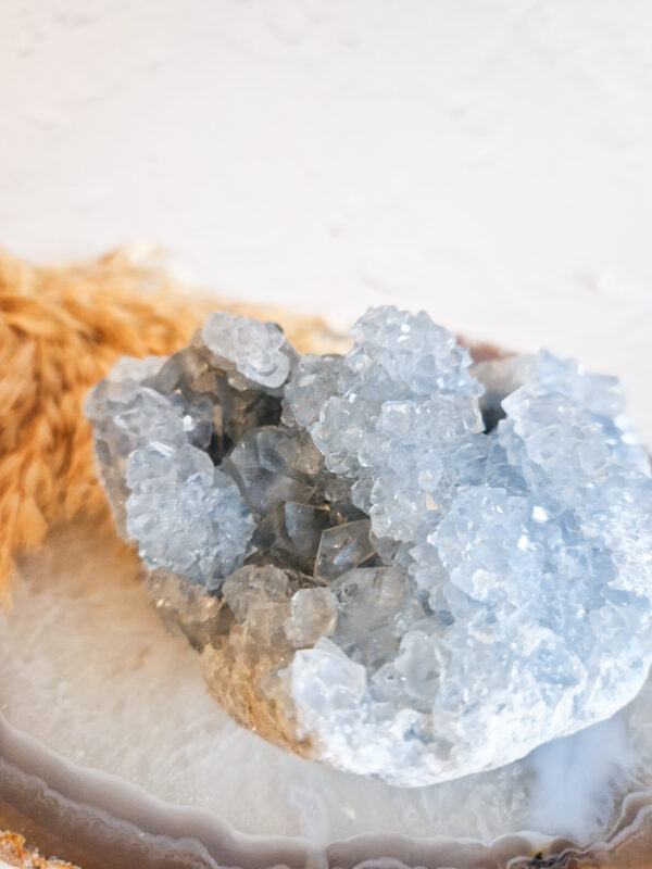 celestien cluster madagaskar