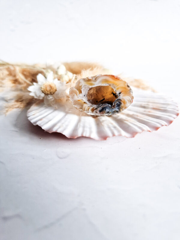 Agaat geode (half) #11