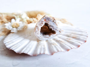 Agaat geode (half) #13