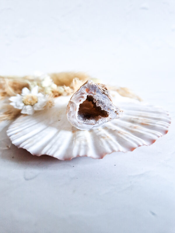 Agaat geode (half) #13