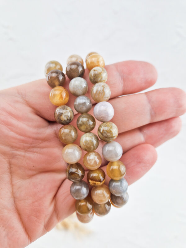 Versteend koraal armband 8 mm - Afbeelding 2