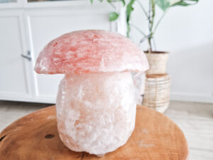 Paddestoel zoutsteen lamp (roze/oranje)