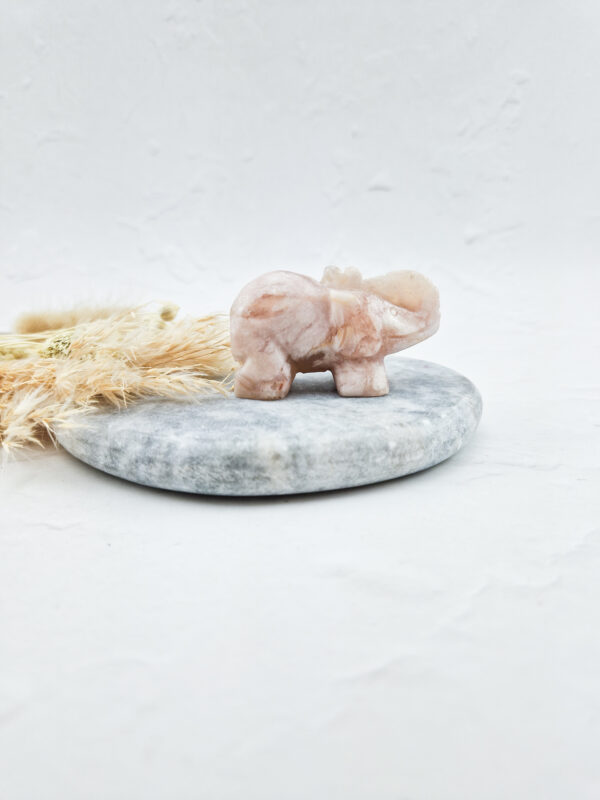 bloemagaat olifant