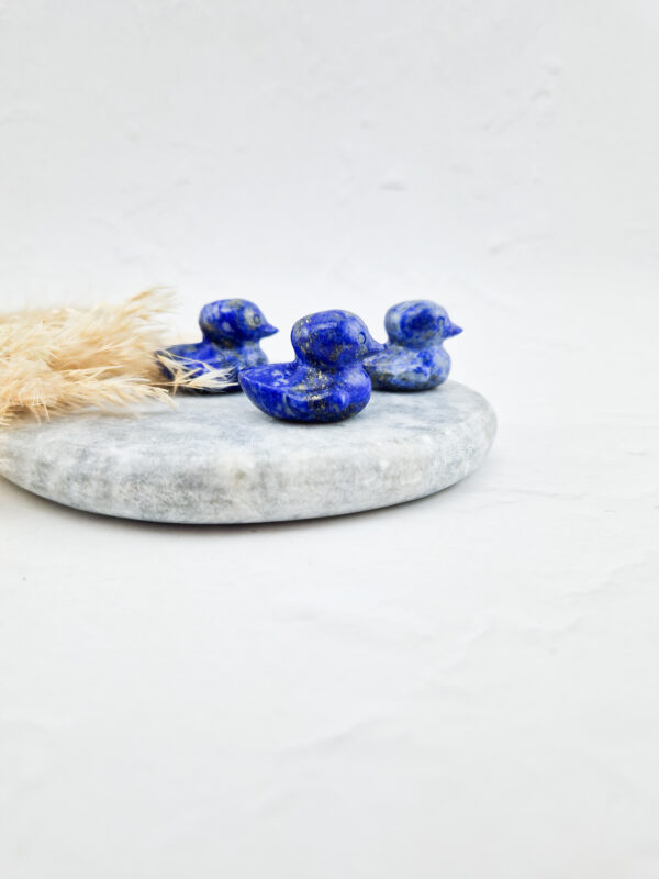 lapis lazuli eend