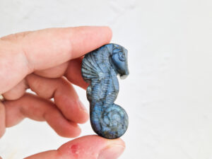 labradoriet carving zeepaardje