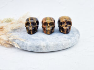 tijgeroog doodshoofd / skull