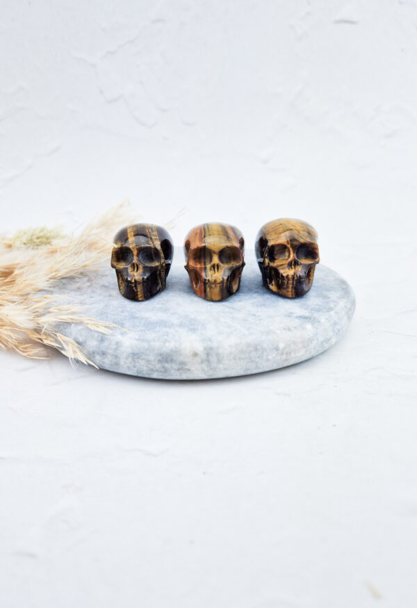 tijgeroog doodshoofd / skull