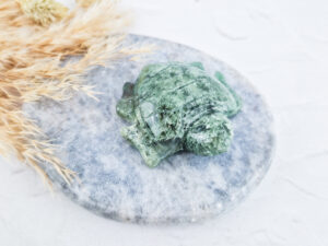 Mosagaat schildpad