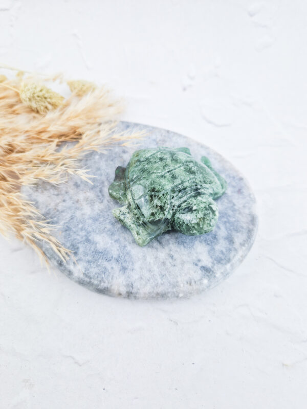 Mosagaat schildpad