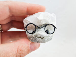 Calciet nerd met bril