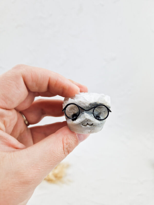 Calciet nerd met bril
