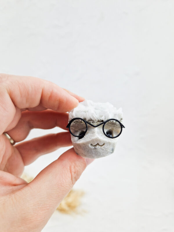 Calciet nerd met bril