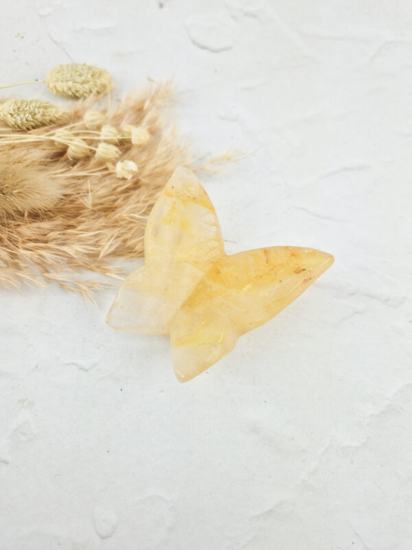 Limoniet kwarts vlinder (golden healer)