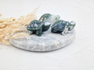 mosagaat schildpad