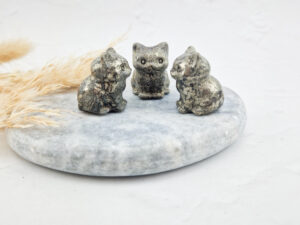 Pyriet zittende kat/poes