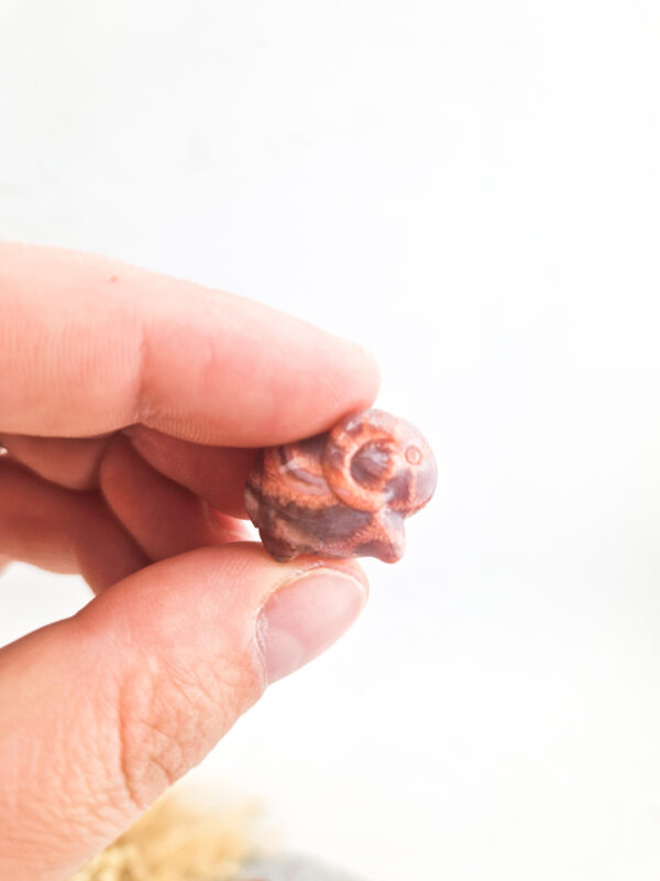 Versteend mini koraal ram/buffel