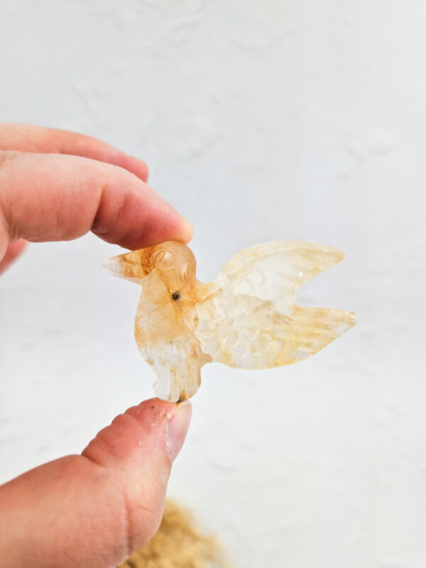 Golden healer kolibrie