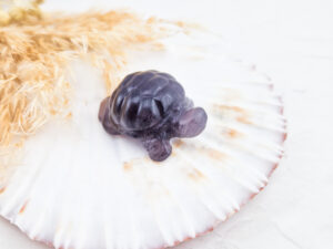 Fluoriet schildpad