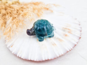 Fluoriet schildpad