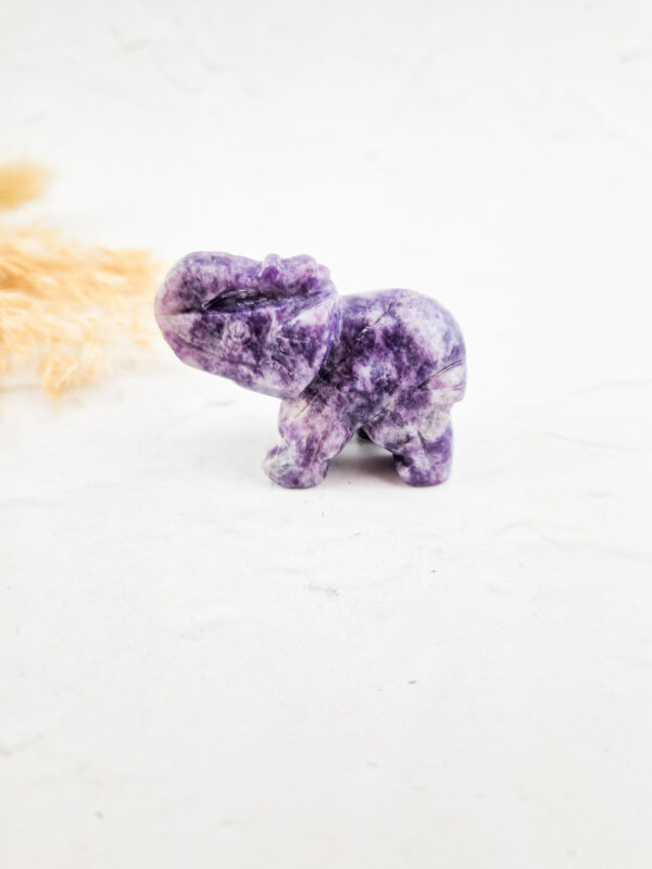 Lepidoliet olifant