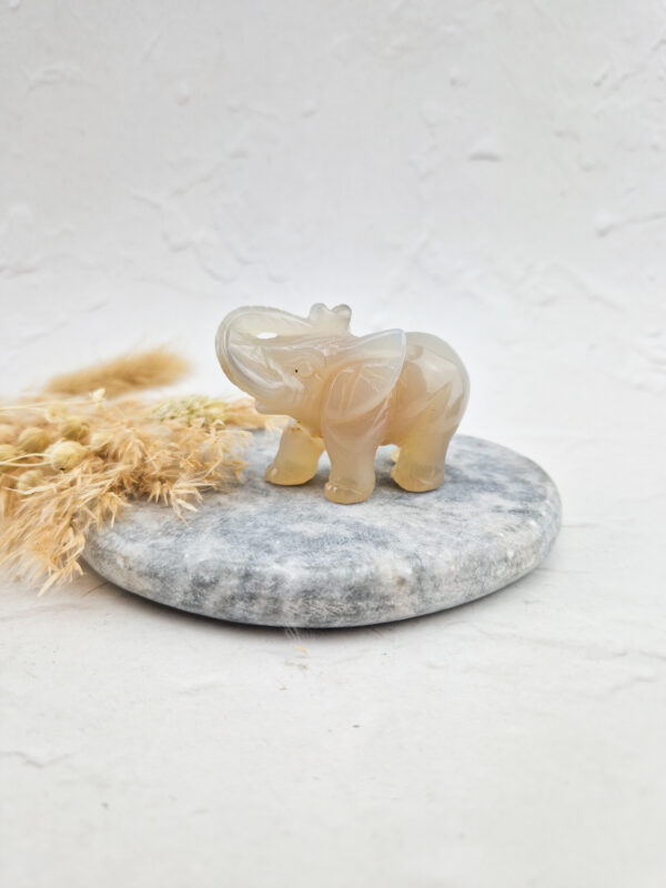 agaat olifant