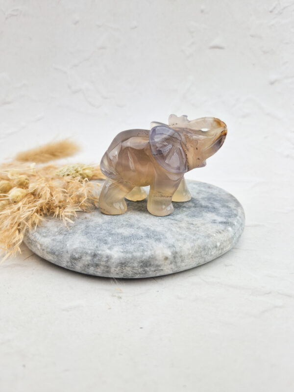 agaat olifant