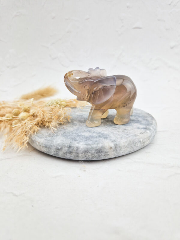 agaat olifant