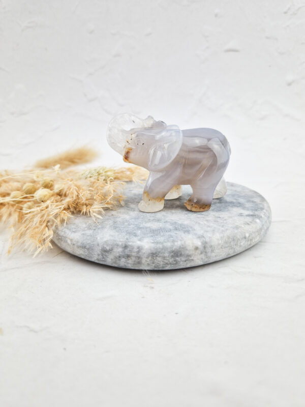 agaat olifant