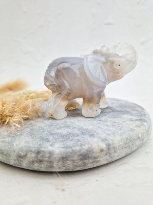 agaat olifant