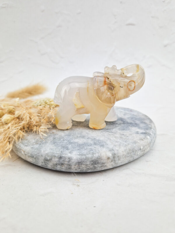Agaat olifant