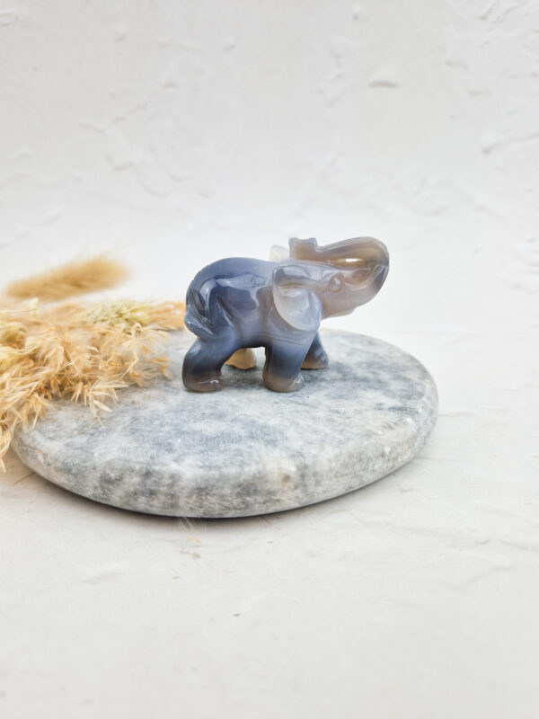 Agaat olifant