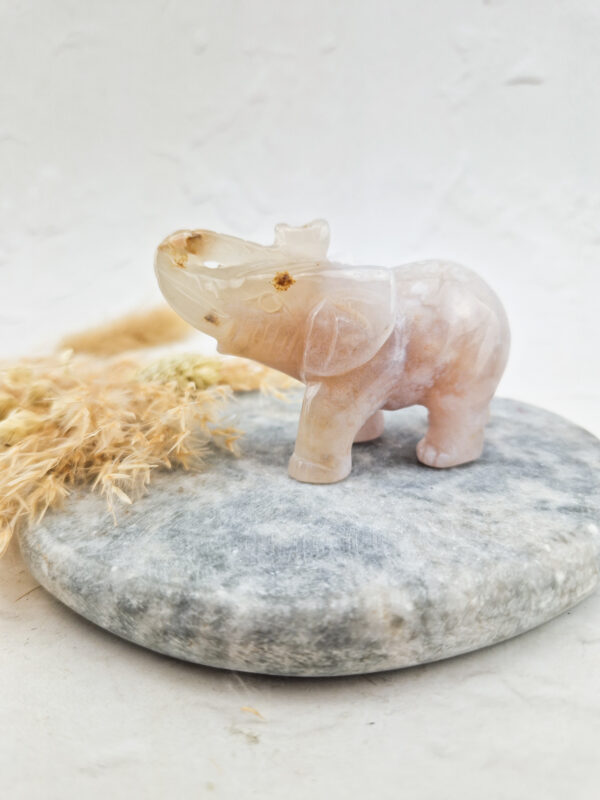 agaat olifant