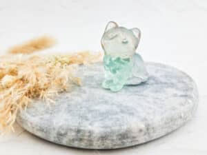 Fluoriet zittende poes/kat