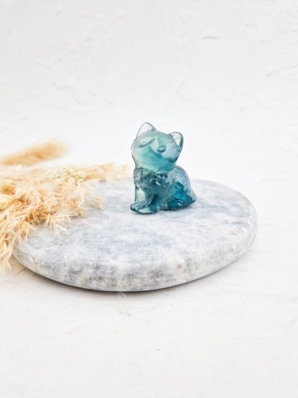 Fluoriet zittende poes/kat