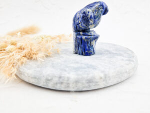 Lapis lazuli papegaai