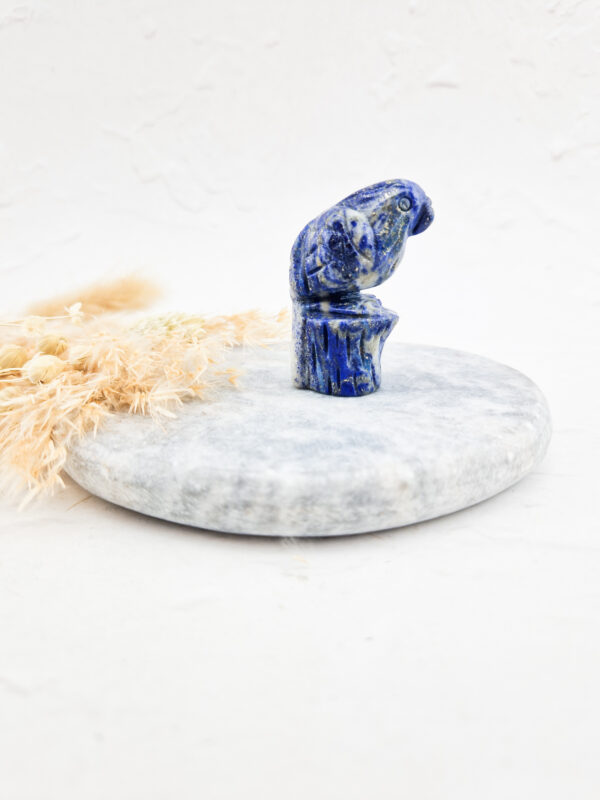 Lapis lazuli papegaai