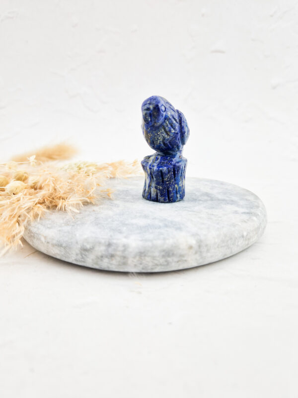 Lapis lazuli papegaai