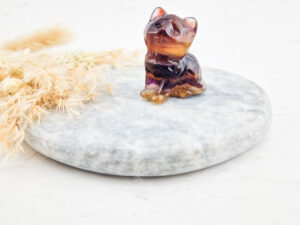 Fluoriet zittende poes/kat