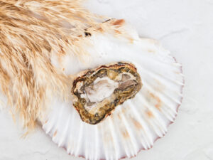 Versteend hout schijfje