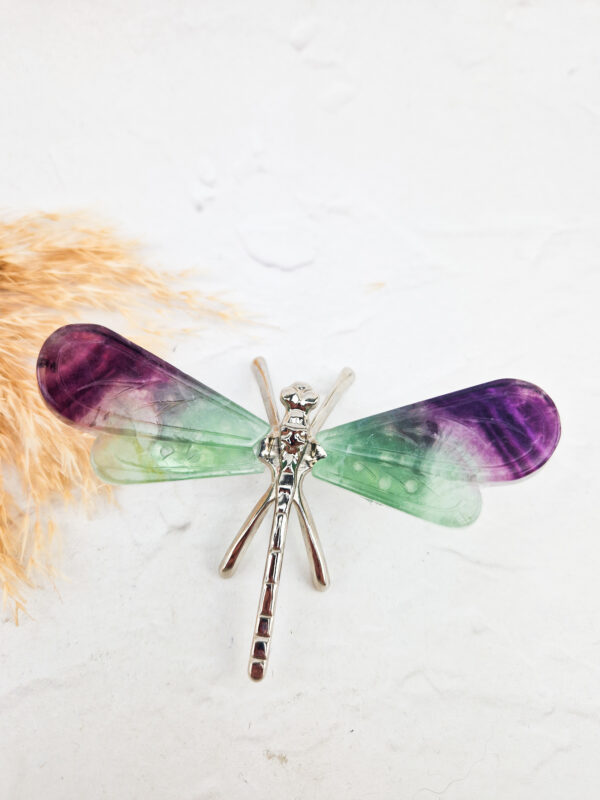 Fluoriet libelle