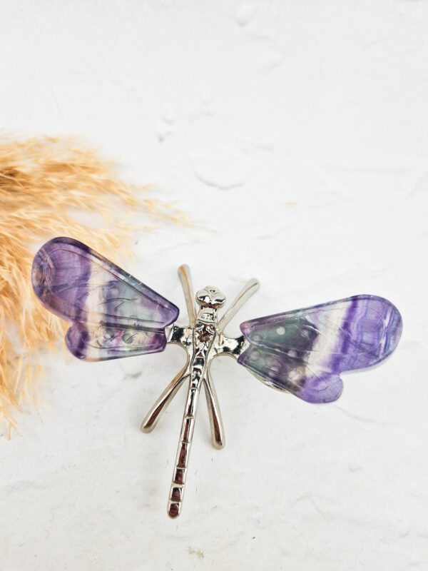 Fluoriet libelle
