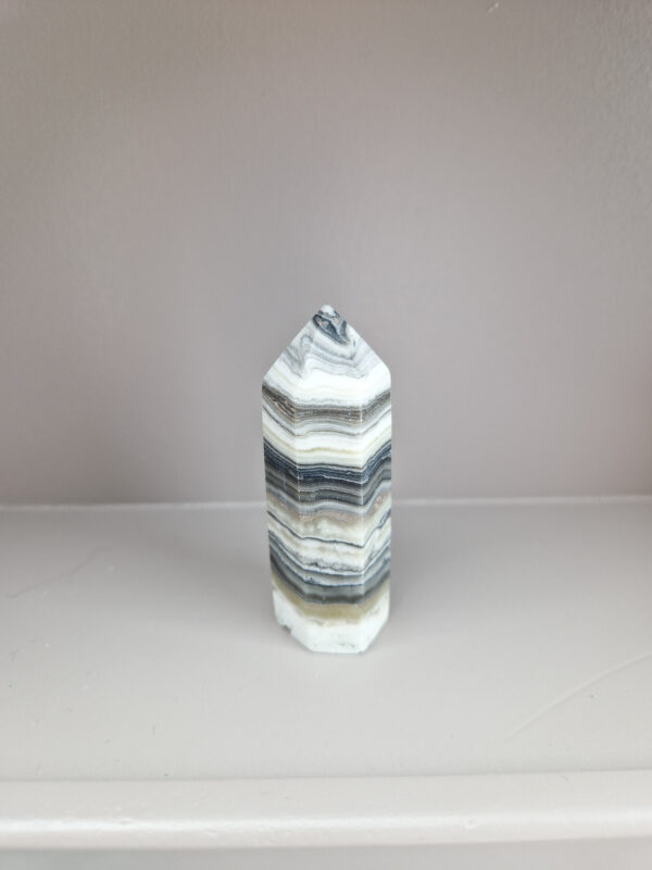 Zebra calciet toren